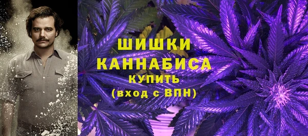трава Верея